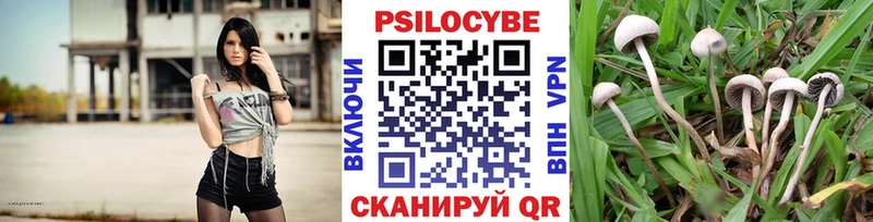 Галлюциногенные грибы Psilocybine cubensis  Володарск 