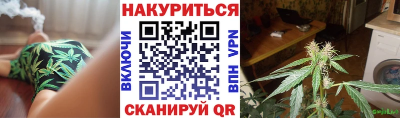 Конопля SATIVA & INDICA  цены наркотик  Володарск 